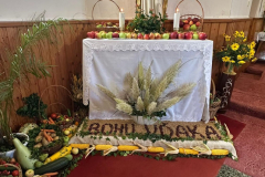 0e5ecc0c-531d-4a8f-8517-3f4116f20a03