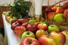 1a89ff69-73cb-4347-88c8-78d4e398202a