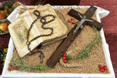 ba88e506-13bc-4b3f-bca1-92dd5b1d4bc6